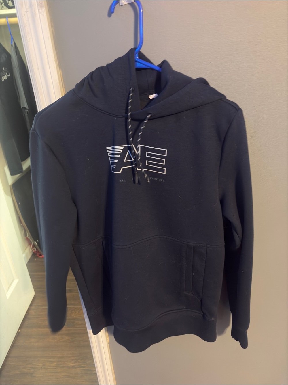American Eagle Outfitters Pullover Hoodie